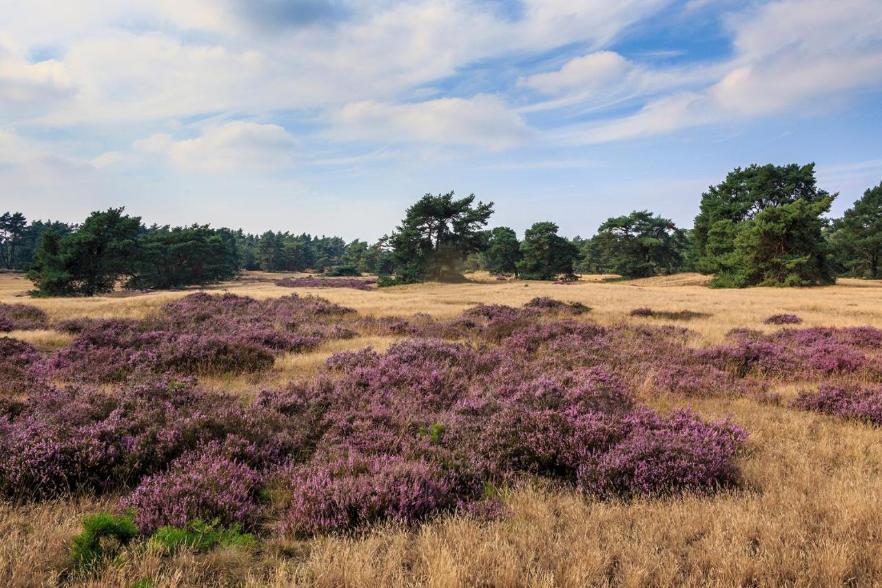 De Boshoek 3* Voorthuizen