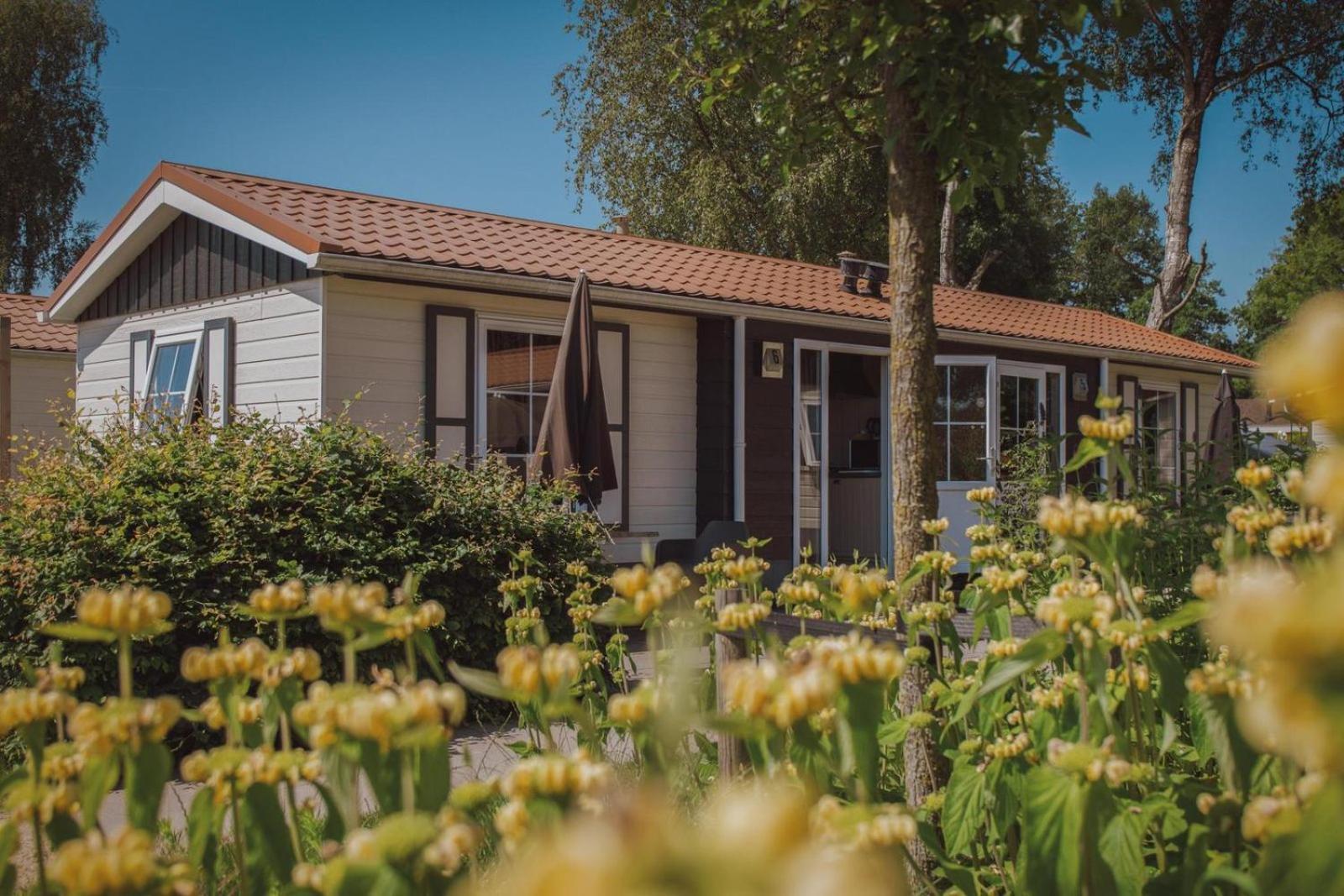 De Boshoek 3*